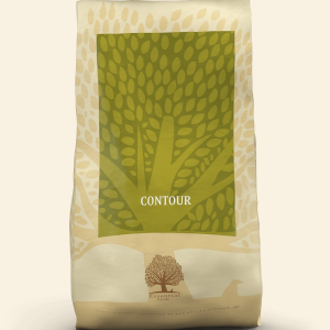 ESSENTIAL CONTOUR