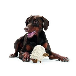HUNTER Dog Toy Får vitt