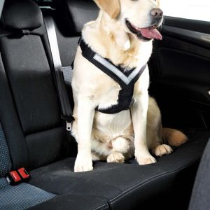 MIM Hundsele AllSafe