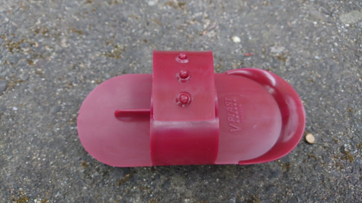 Sarvis/Piggborste - Bild 6