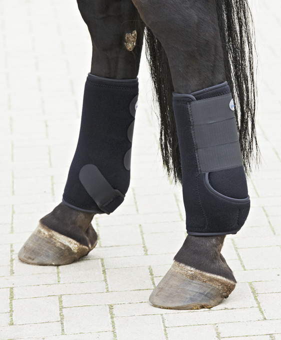 Senskydd Sport - Bild 3
