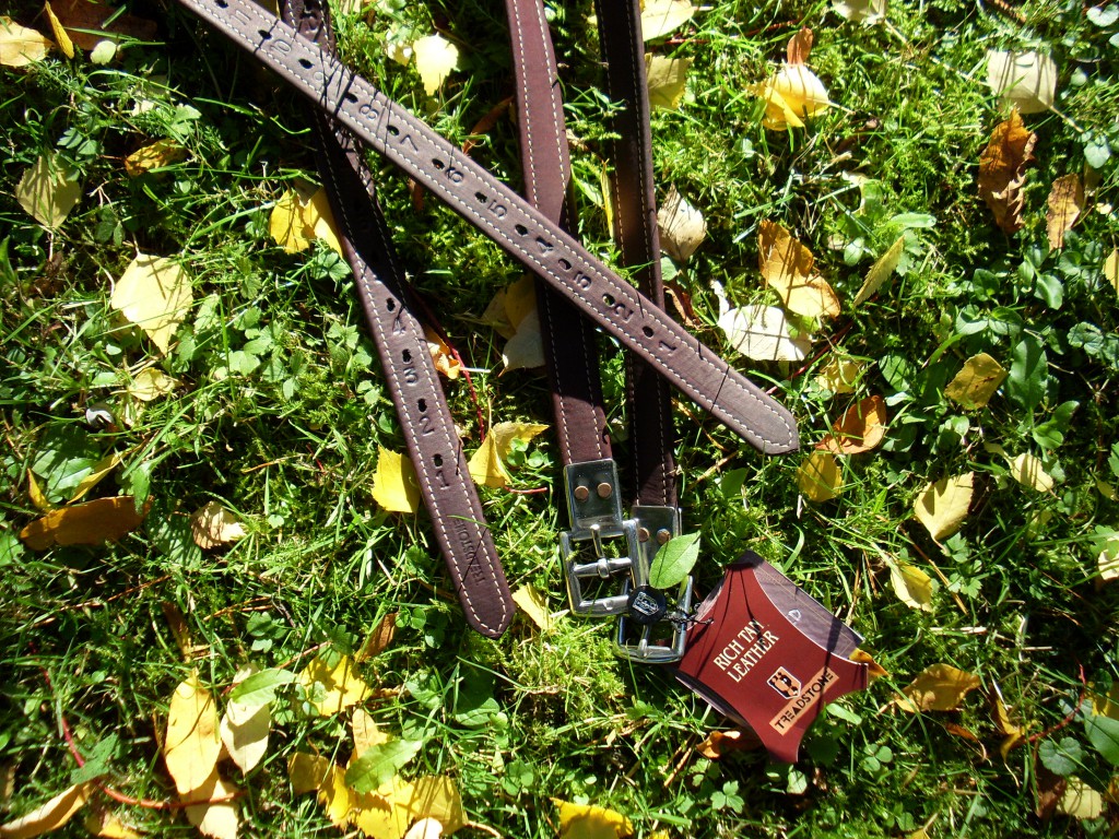 Stigläder Treadstone